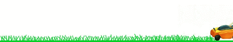 moweranimation